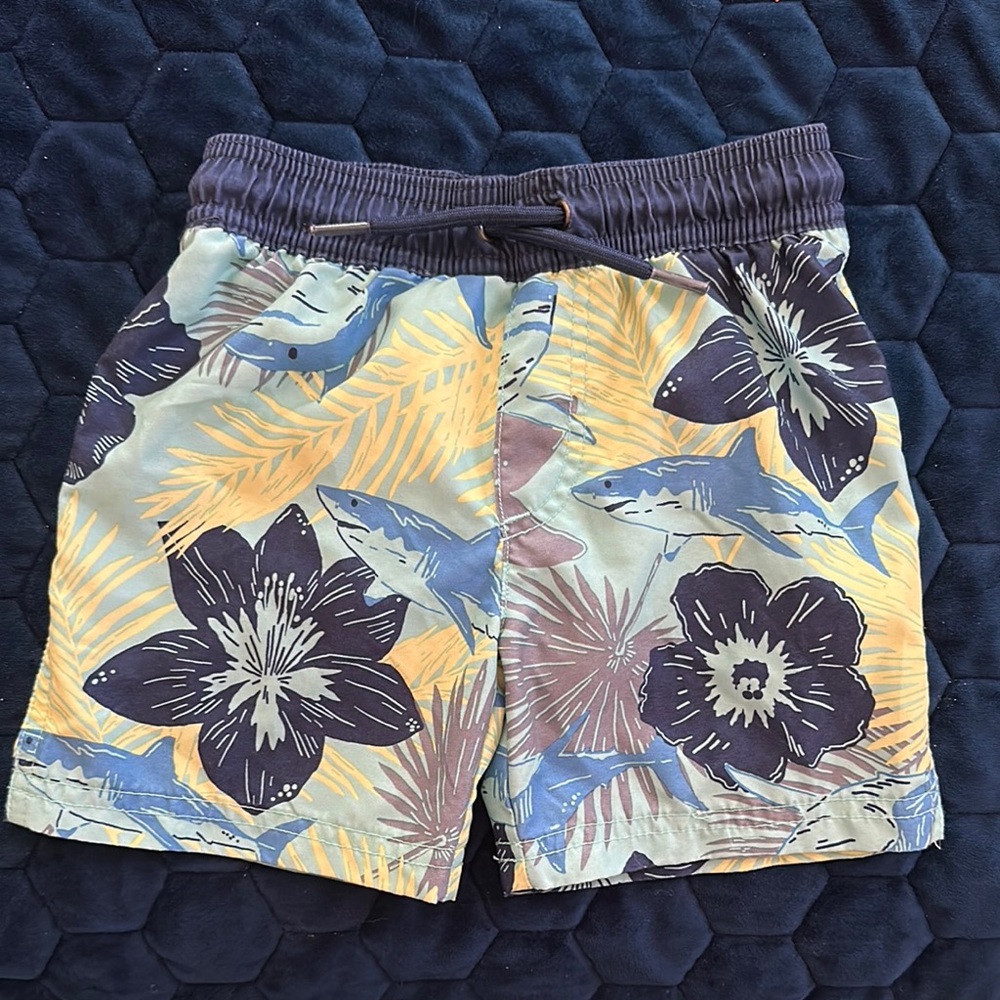 Tropical Shark Print Shorts